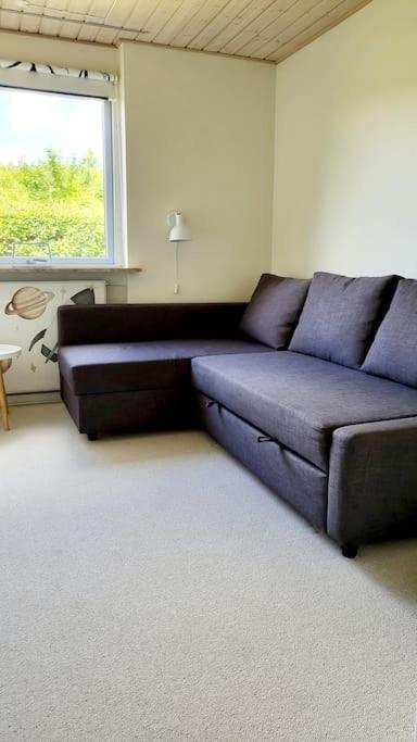 Thuya Rica House Villa Billund Ngoại thất bức ảnh